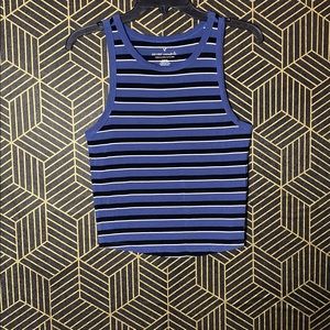 American Eagle Outfitters Medium Striped Tank